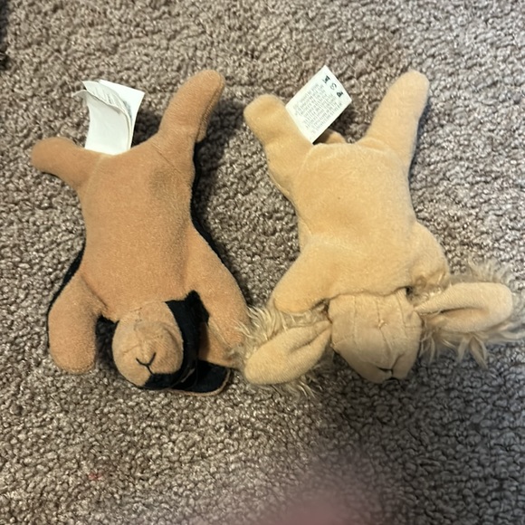 Ty dogs - Picture 2 of 4